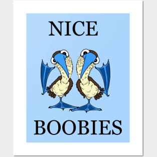 Nice Boobies Posters and Art
